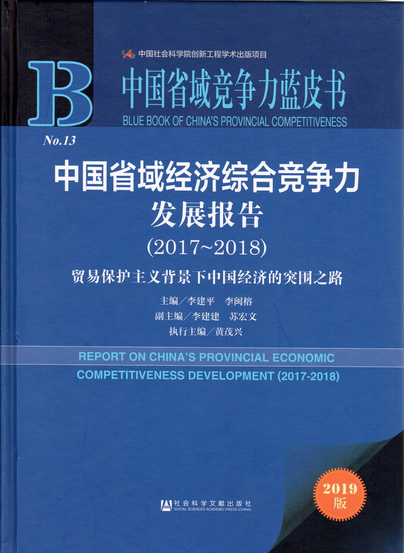 骚逼Aav中国省域经济综合竞争力发展报告（2017-2018）