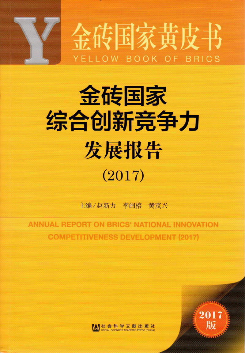 操屄高潮喷水视频金砖国家综合创新竞争力发展报告（2017）